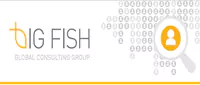 BigFish Global Consulting Group 